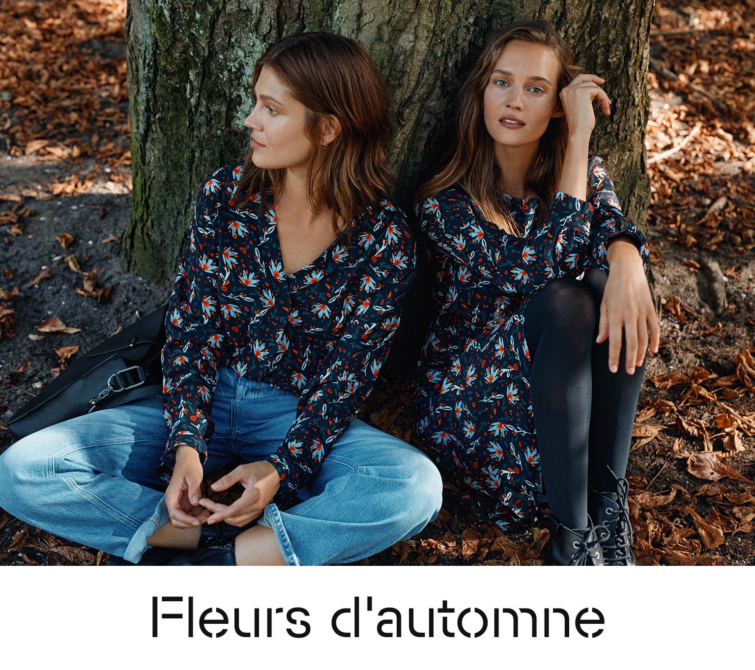 Fleurs d'automne