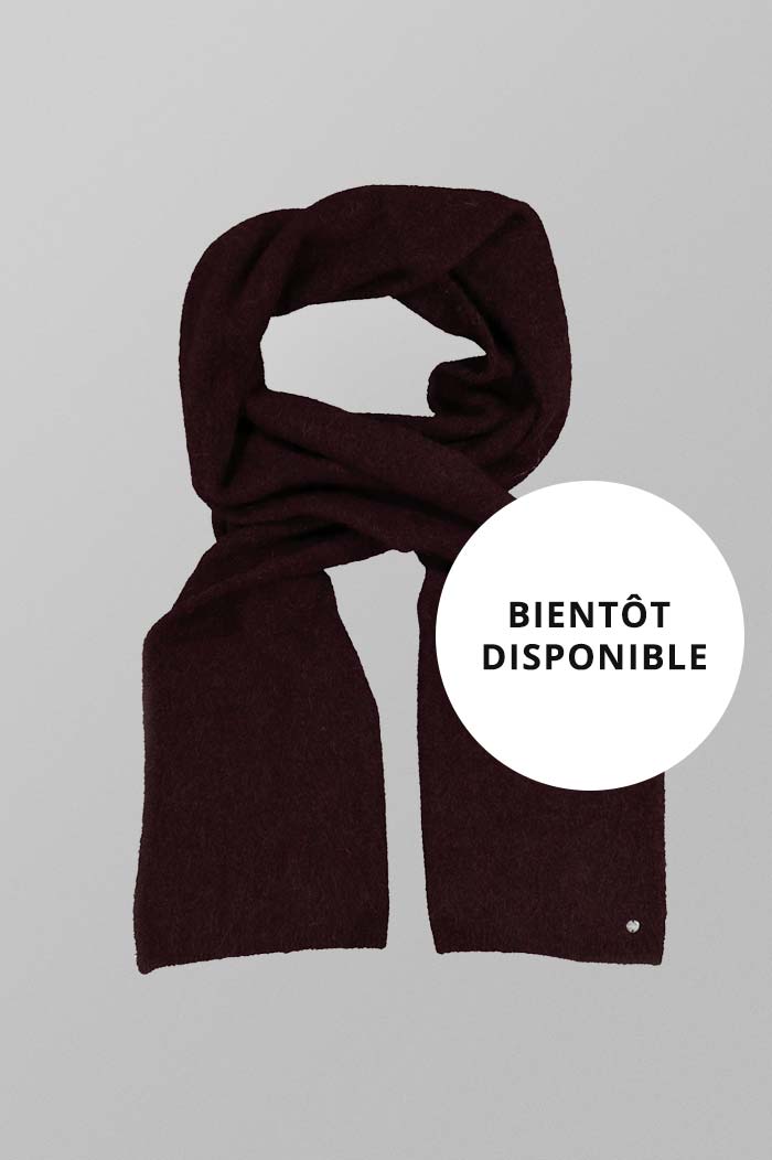 https://www.esprit.fr/mode-femmes/accessoires/echarpes-foulards