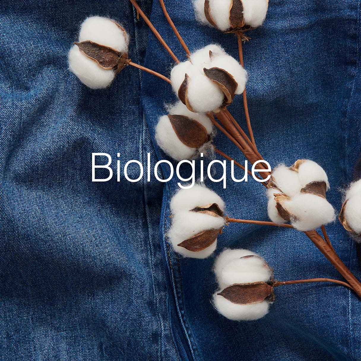 Biologique