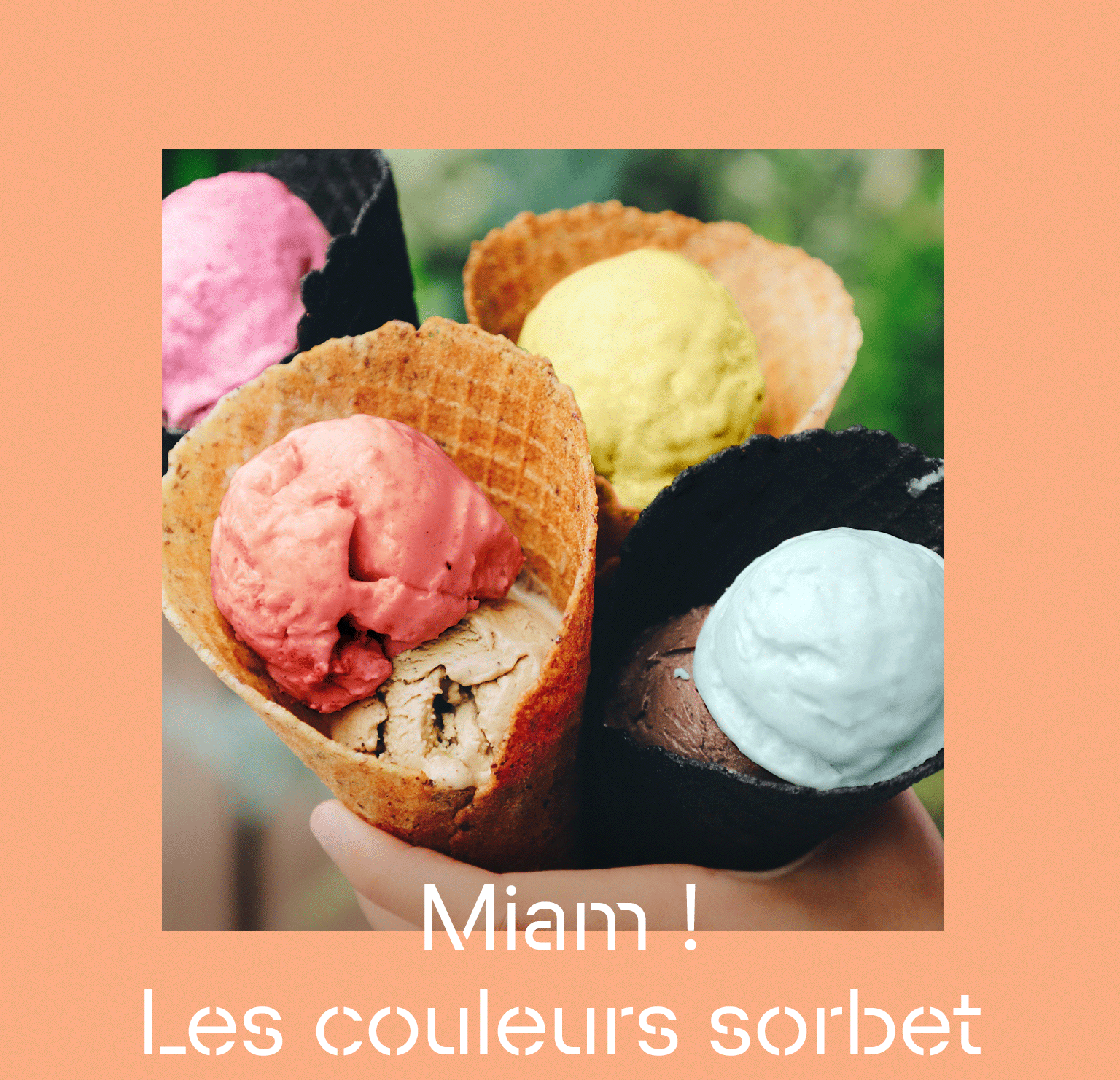 Miam ! Les couleurs sorbet